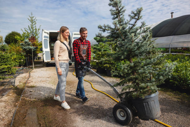 Best Weed Control  in Parkwood, WA
